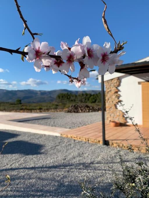 La Llobatera Casa Rural Les Coves de Vinroma Buitenkant foto